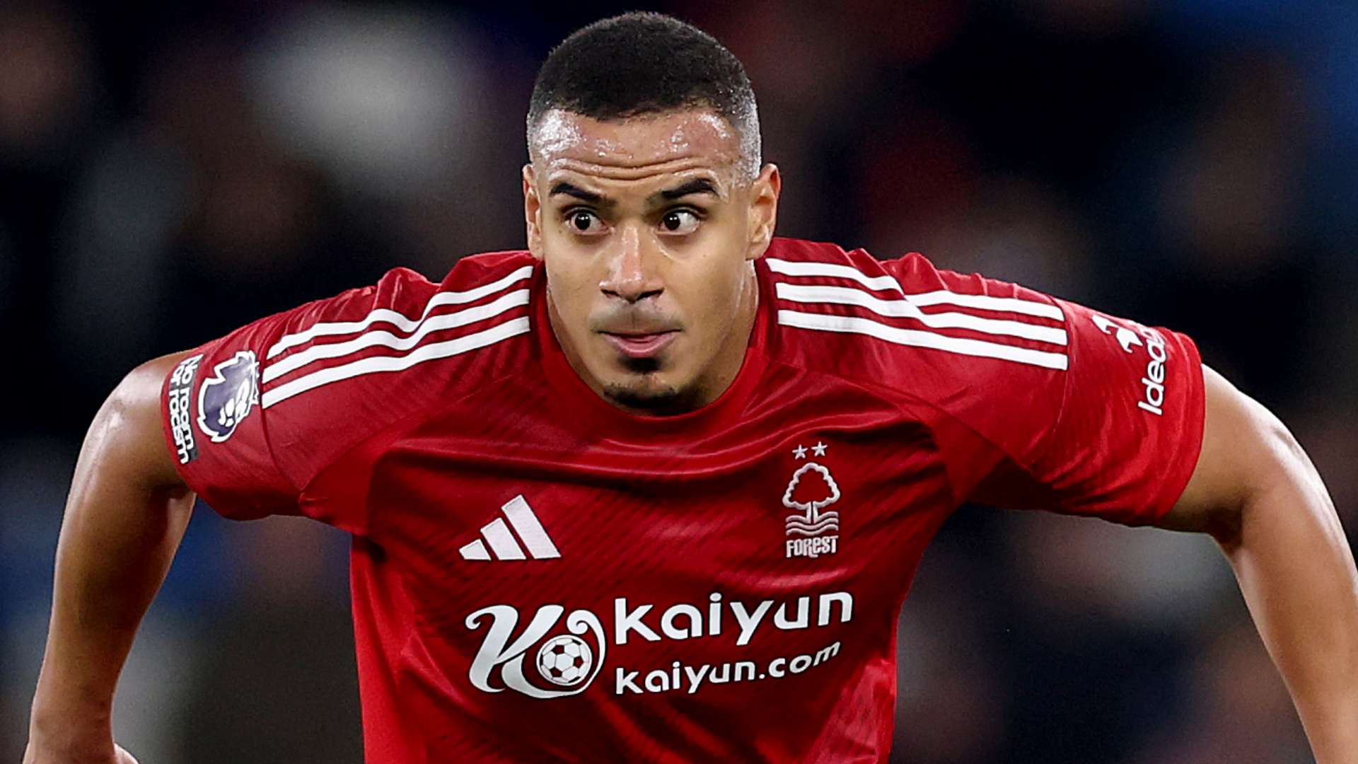 样的存在 样的存在